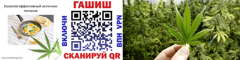дарнет шоп  Салаир  Cannafood конопля 
