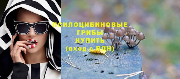 прущий лед Аркадак
