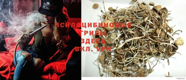 прущий лед Аркадак